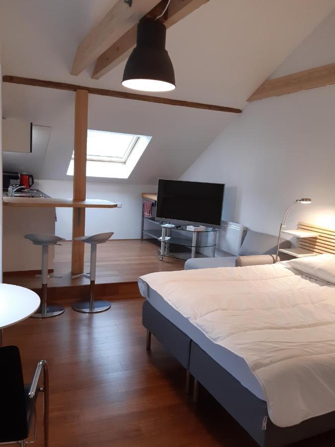 Loft Studio Avec Charme Et Authenticite Altkirch Exteriör bild