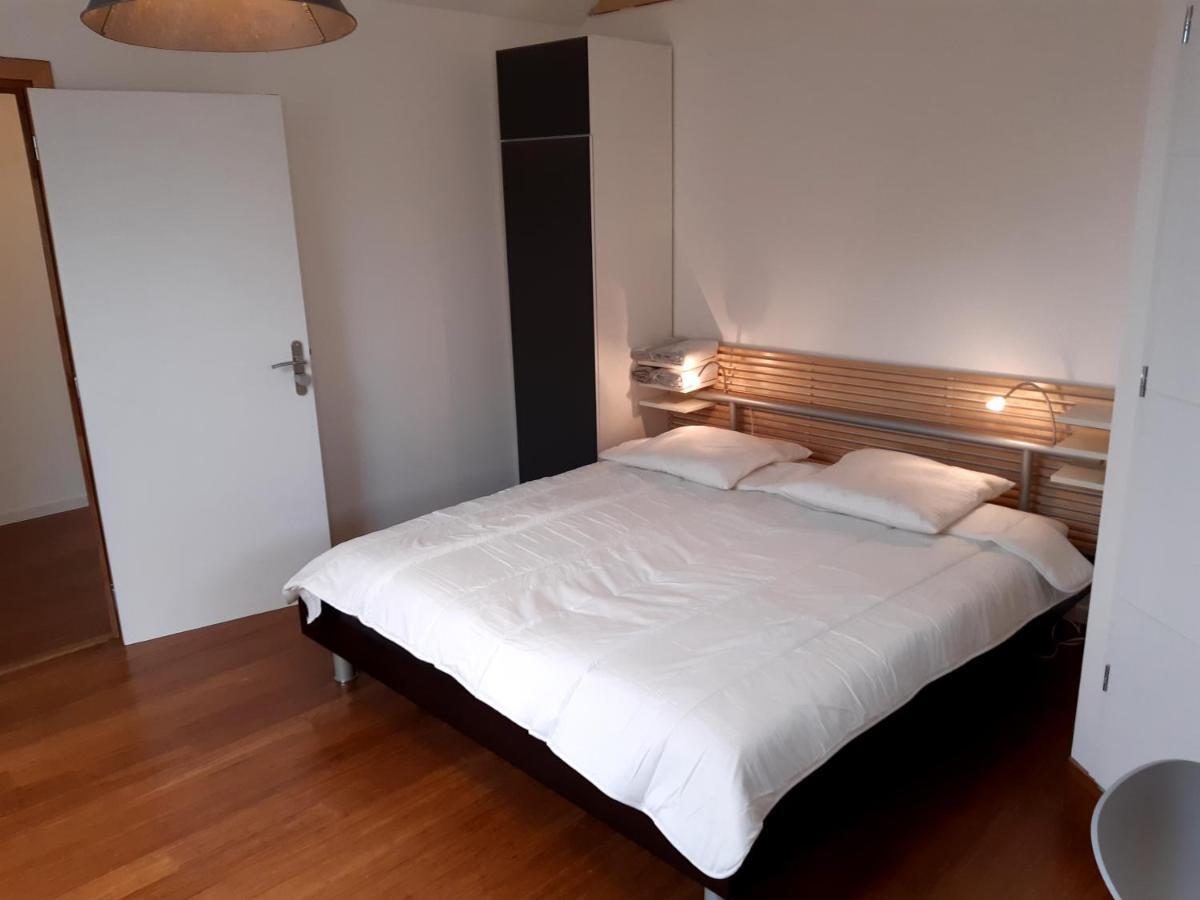 Loft Studio Avec Charme Et Authenticite Altkirch Exteriör bild